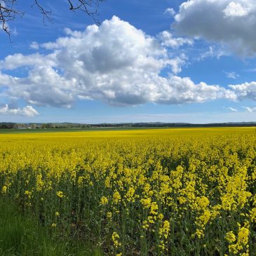 Wanderfrühling 2025 auf Rügen