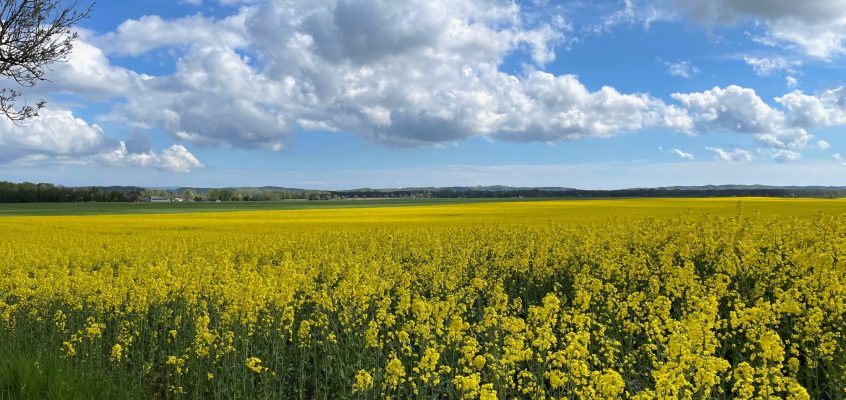 Wanderfrühling 2025 auf Rügen